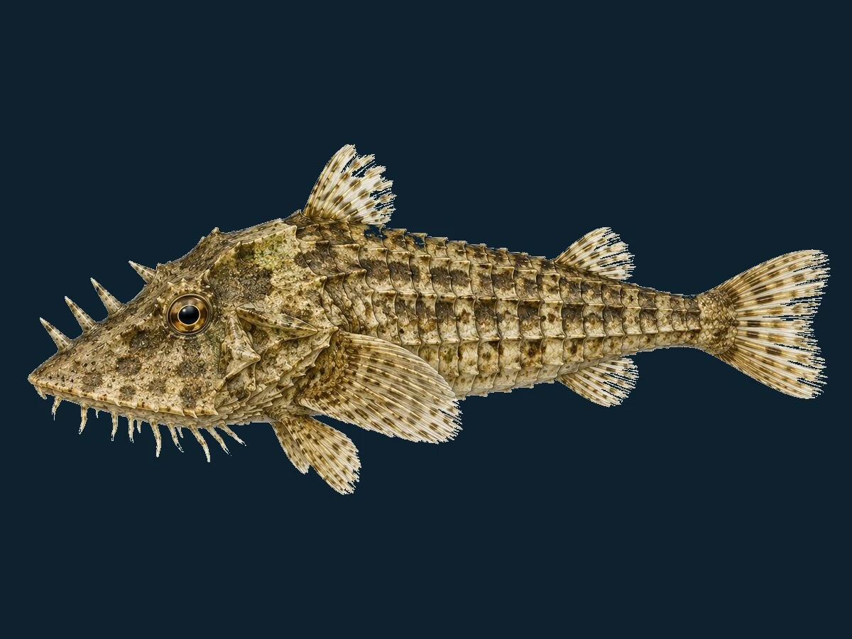 Panserulk